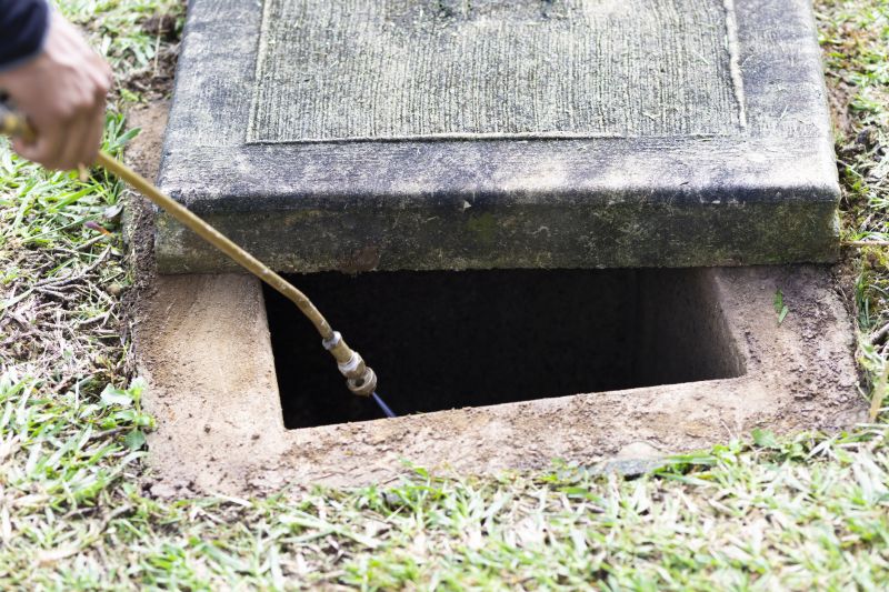 Rat Fumigation Service in Ann Arbor, MI
