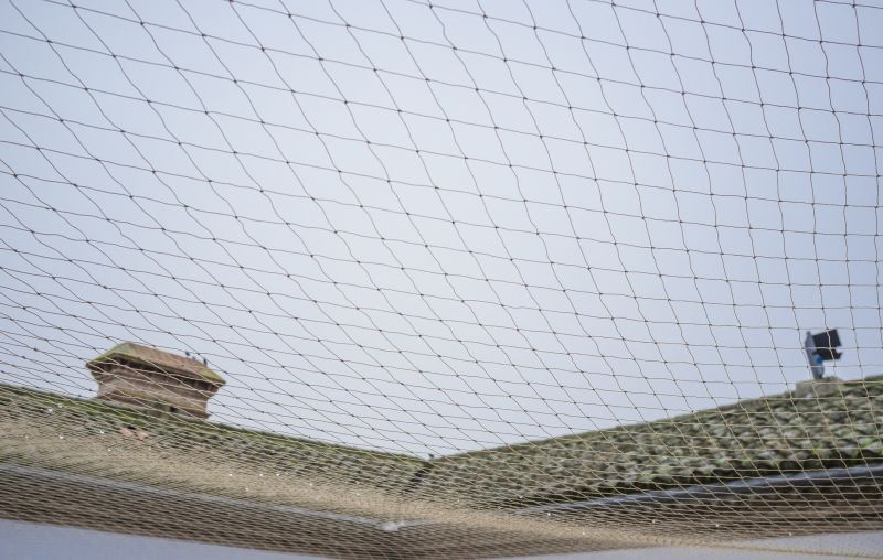 Roof Bird Exclusion