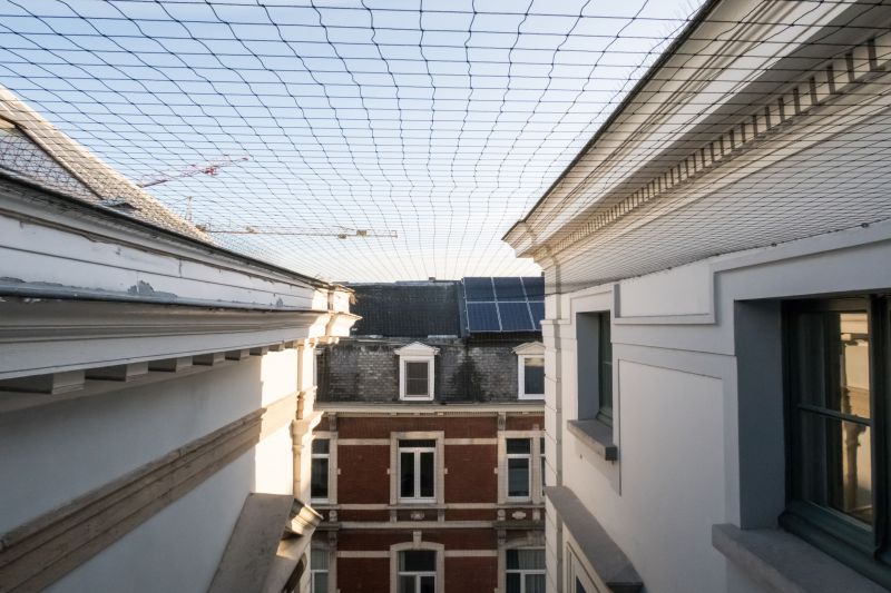 Roof Bird Exclusion